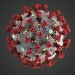 COVID-19 Profile Only